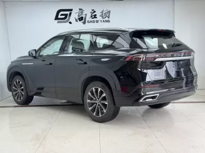 Chery Tiggo-9 2024, фото 4