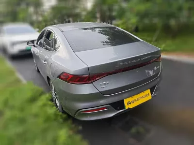 BYD Qin-Plus-Dm 2022, фото 6