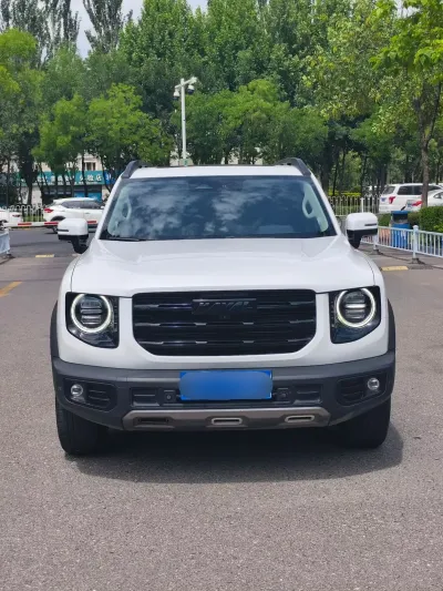 Haval Big-Dog-Dagou 2023, фото 2