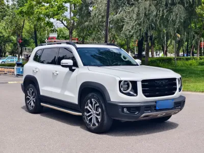 Haval Big-Dog-Dagou 2023, фото 3