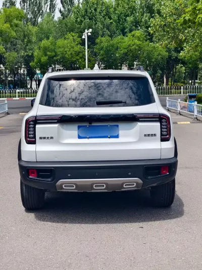 Haval Big-Dog-Dagou 2023, фото 5