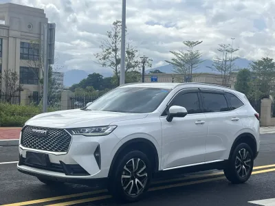 Haval H6 2022, фото 1