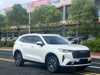 Haval H6 2022, фото 3