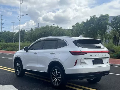 Haval H6 2022, фото 4