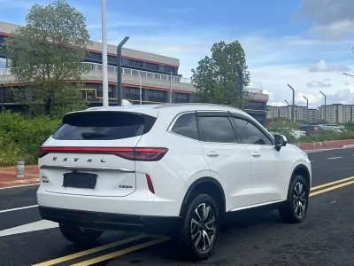 Haval H6 2022, фото 6