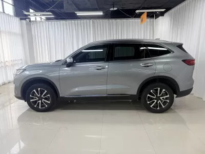Haval H6 2022, фото 4