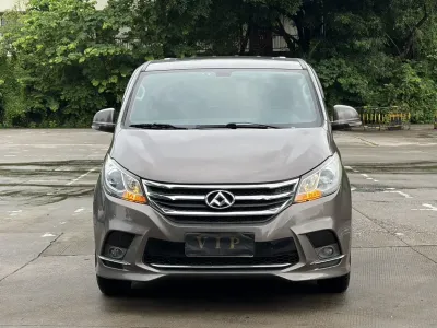 Datong Maxus-G10 2018, фото 2
