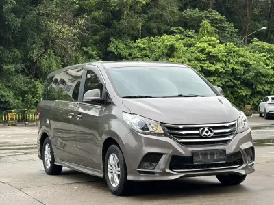 Datong Maxus-G10 2018, фото 3