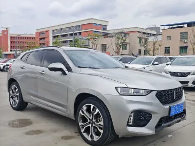 Wey Wei-Brand-Vv7 2018, фото 2