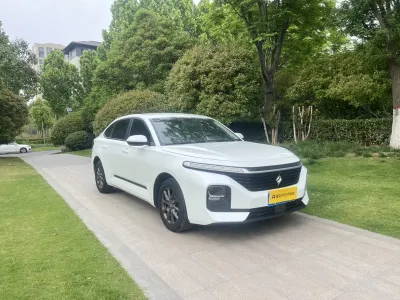 Baojun Rc-5 2021, фото 3