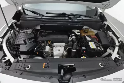 Chevrolet Volando 2019, фото 5