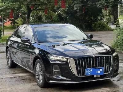 Hongqi H5 2023, фото 3