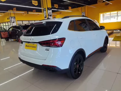 Roewe Rx3 2021, фото 5