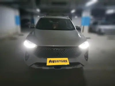 Haval F7x 2021, фото 2