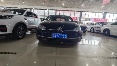 Volkswagen Golf 2019, фото 2