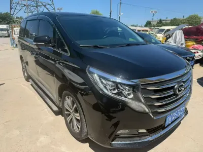 GAC Trumpchi-M8 2019, фото 2