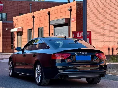 Audi S5 2015, фото 4