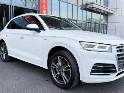 Audi Q5L 2019, фото 2