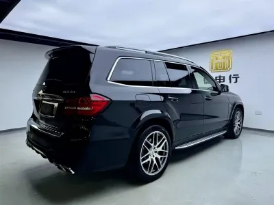 Mercedes-Benz GLS AMG 2019, фото 6