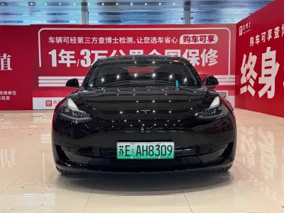 Tesla Model 3 2023, фото 2