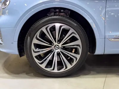 Bentley Tianyu 2022, фото 5