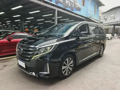 Guangzhou Qianqi Qianqi M8 2019, фото 1