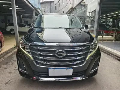 Guangzhou Qianqi Qianqi M8 2019, фото 2