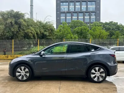 Tesla Model Y 2022, фото 5