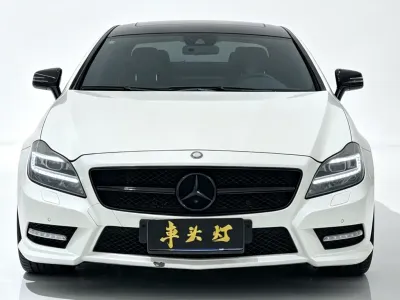 Mercedes-Benz Mercedes CLS 2010, фото 2