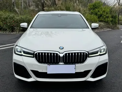 BMW 5 Series (Import) 2021, фото 2