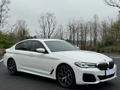 BMW 5 Series (Import) 2021, фото 3
