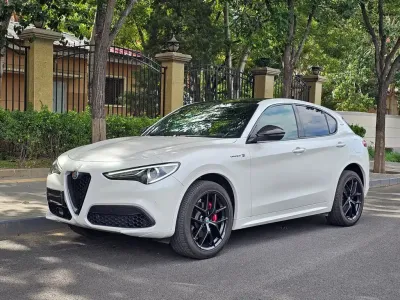 Alfa Romeo Stelvio 2021, фото 1