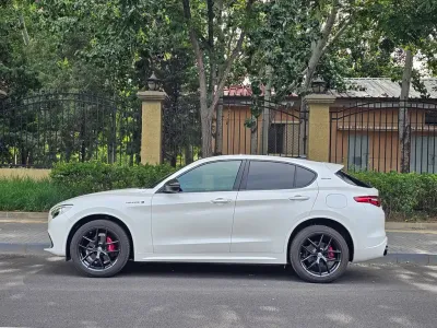 Alfa Romeo Stelvio 2021, фото 3