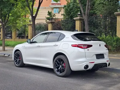Alfa Romeo Stelvio 2021, фото 4
