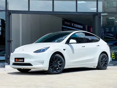 Tesla Model Y 2024, фото 1