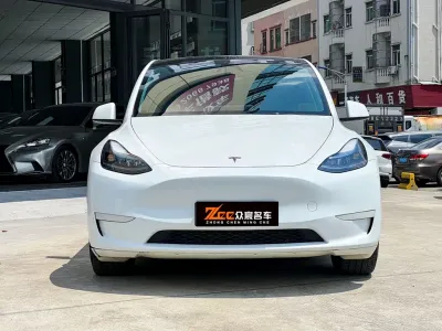 Tesla Model Y 2024, фото 2