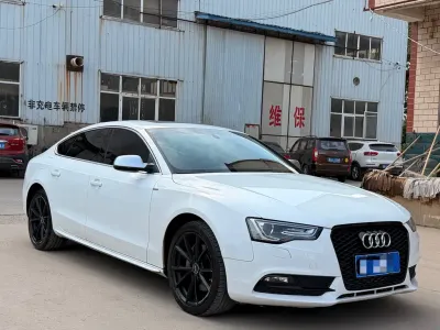 Audi A5 (Import) 2014, фото 3