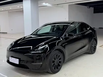 Tesla Model Y 2021, фото 1