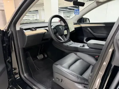 Tesla Model Y 2021, фото 6
