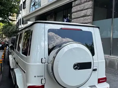 Mercedes-Benz G-Class 2021, фото 4