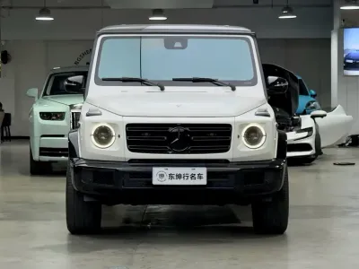 Mercedes-Benz G-Class 2021, фото 2