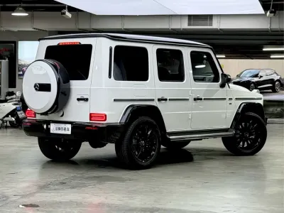 Mercedes-Benz G-Class 2021, фото 4