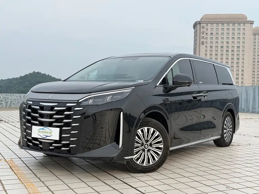 BYD Summer 2025